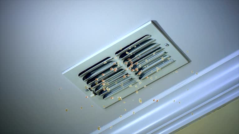 Best Air Duct Cleaning Near Me  in St Clair, MO